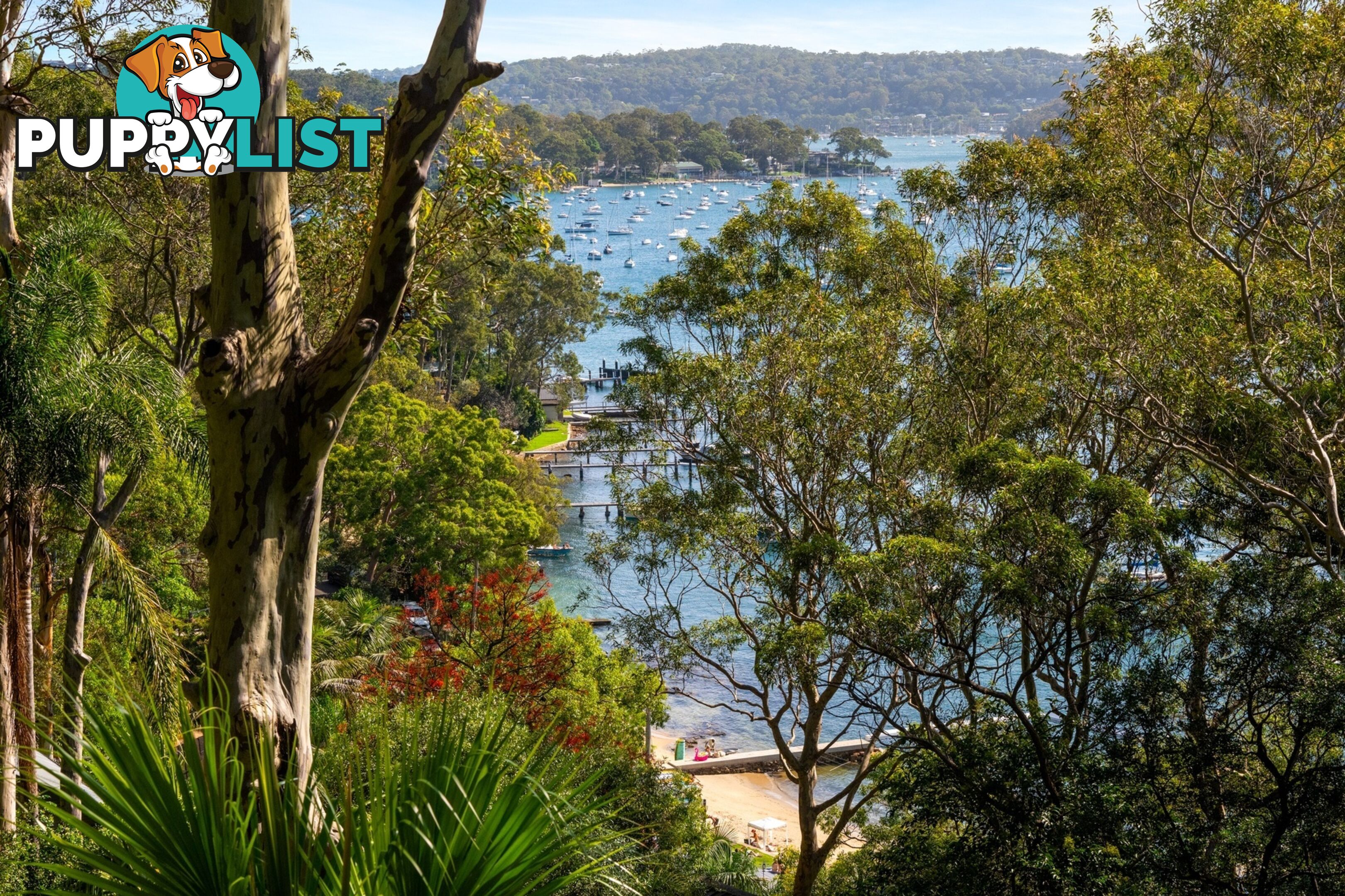 105 Riverview Road AVALON BEACH NSW 2107