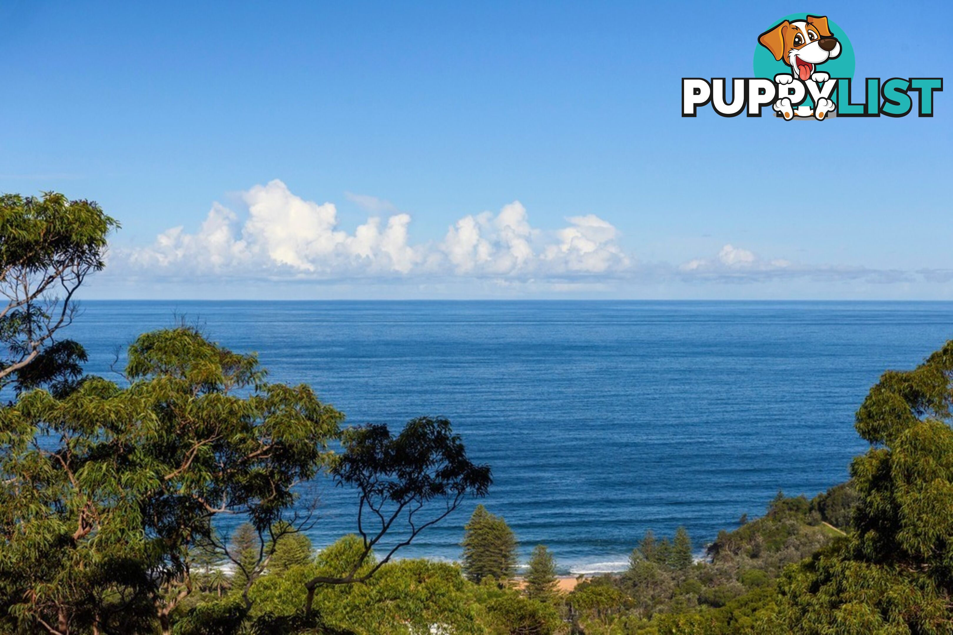10 The Outlook BILGOLA PLATEAU NSW 2107