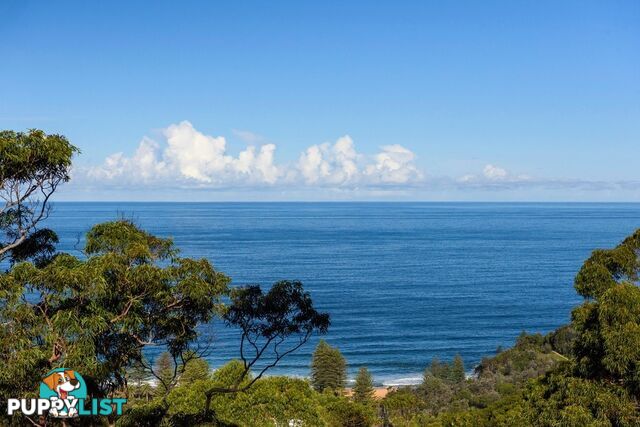 10 The Outlook BILGOLA PLATEAU NSW 2107
