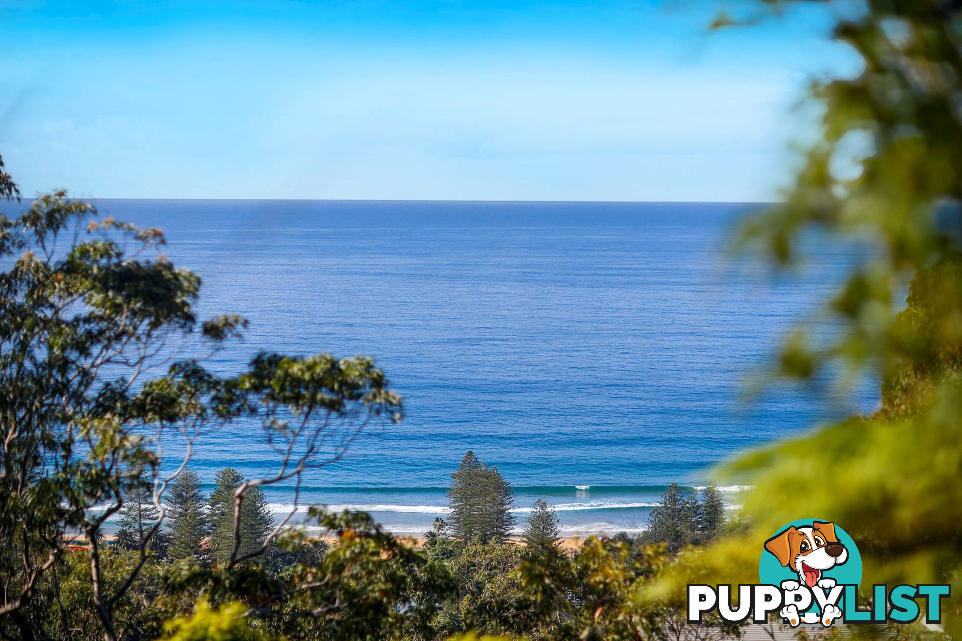 10 The Outlook BILGOLA PLATEAU NSW 2107