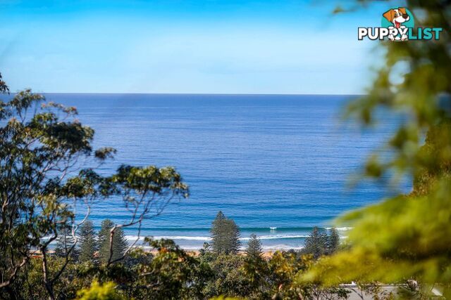 10 The Outlook BILGOLA PLATEAU NSW 2107