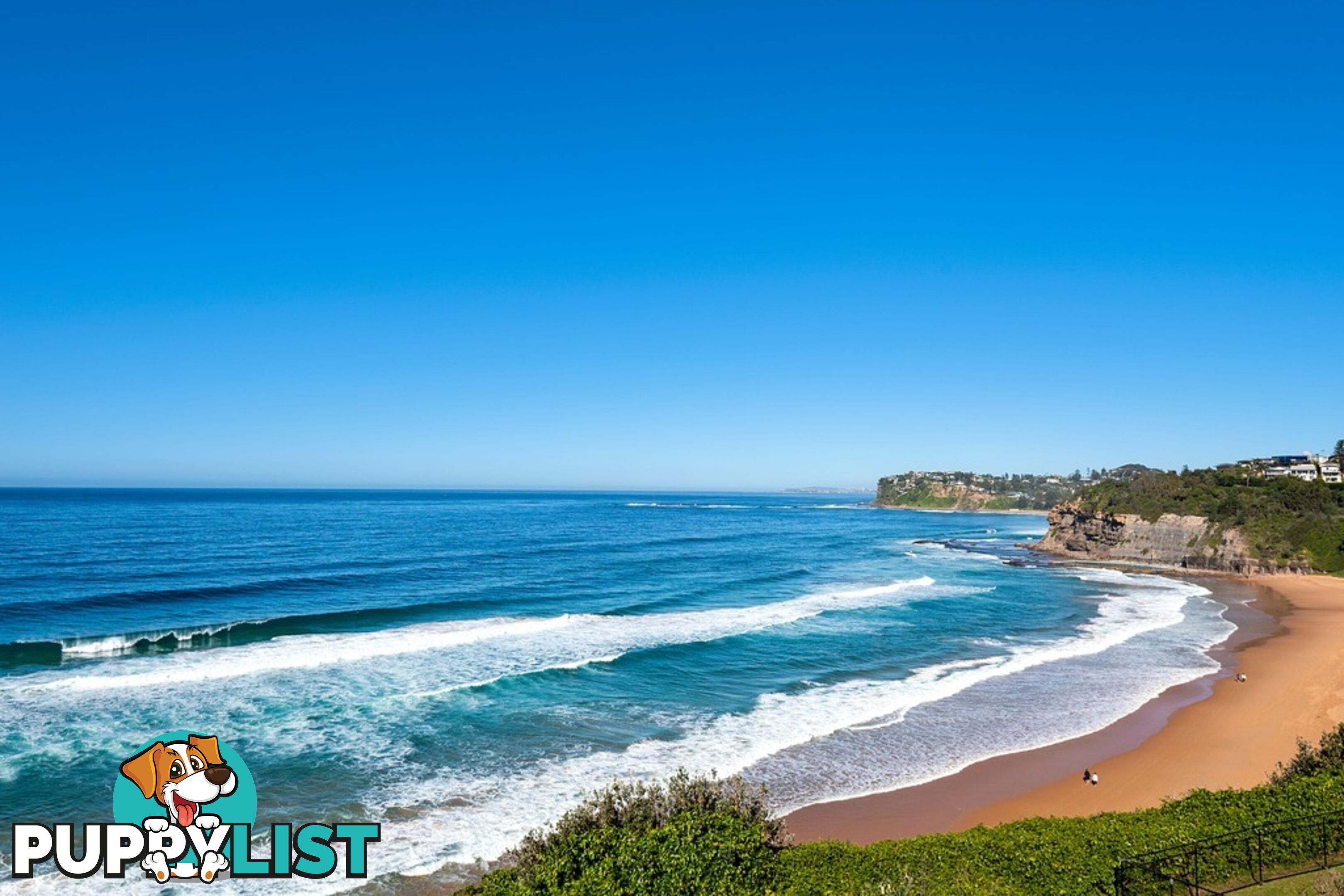 42 The Serpentine BILGOLA BEACH NSW 2107