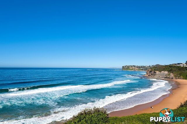 42 The Serpentine BILGOLA BEACH NSW 2107