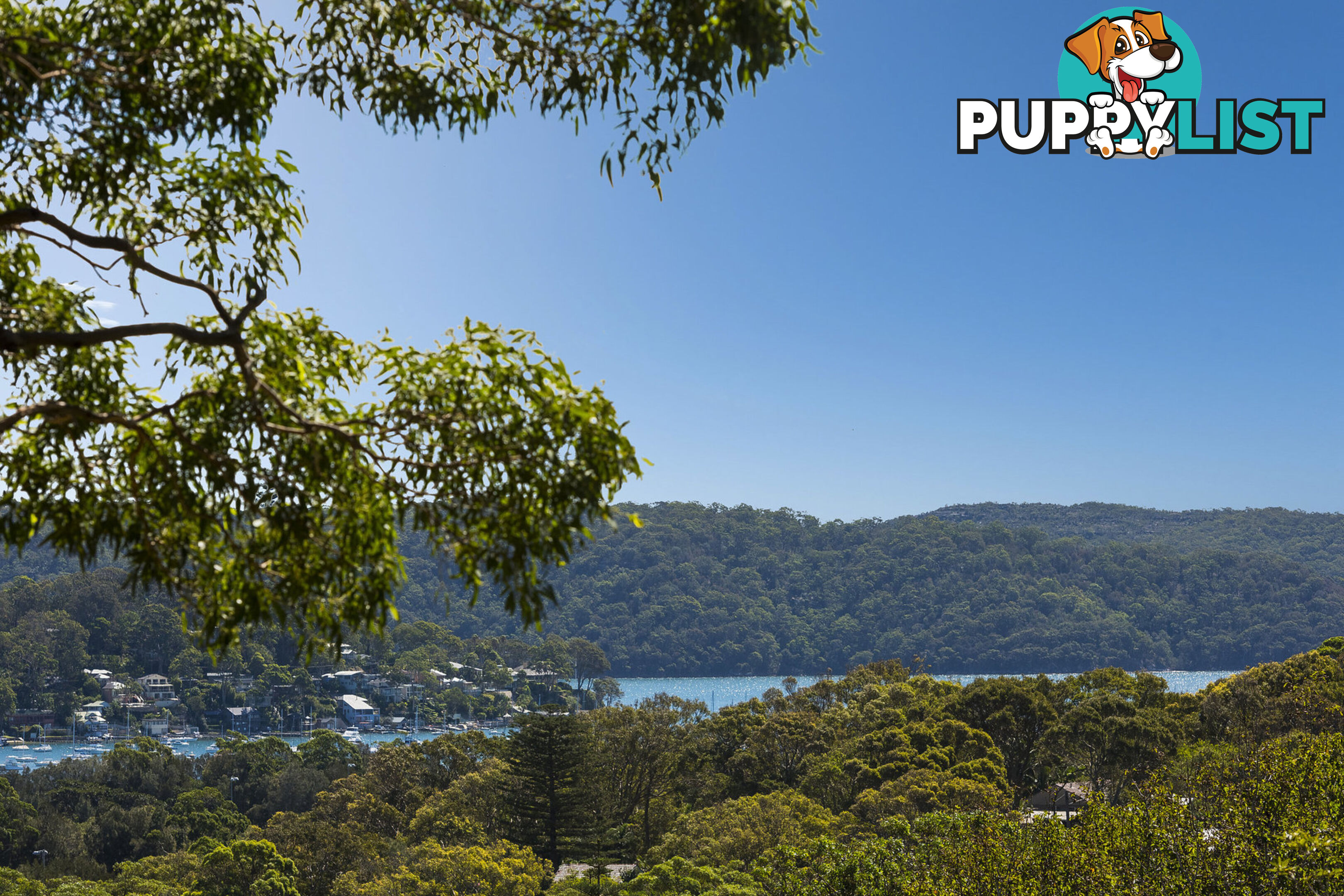 63 Whale Beach Road AVALON BEACH NSW 2107