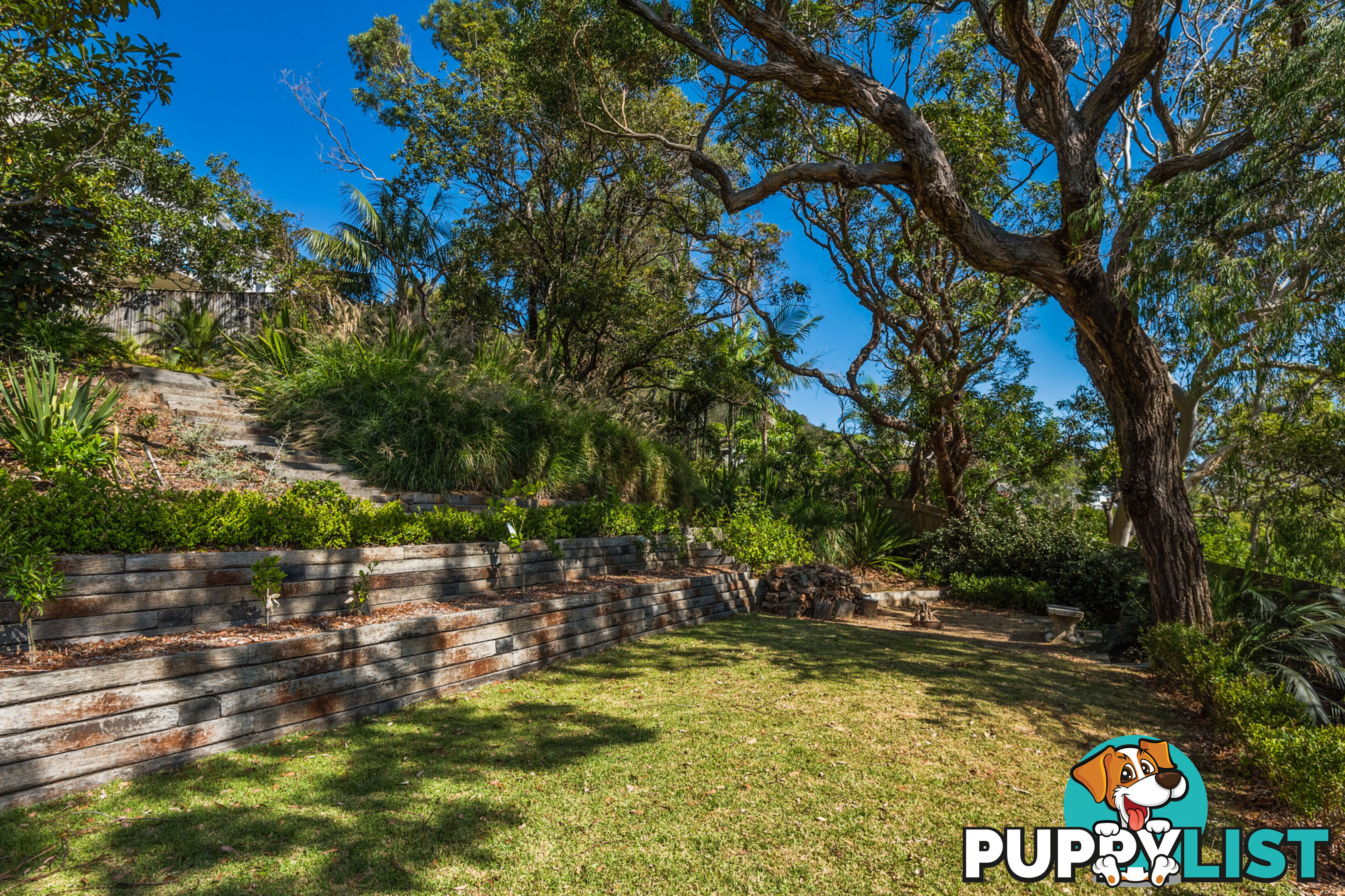 63 Whale Beach Road AVALON BEACH NSW 2107