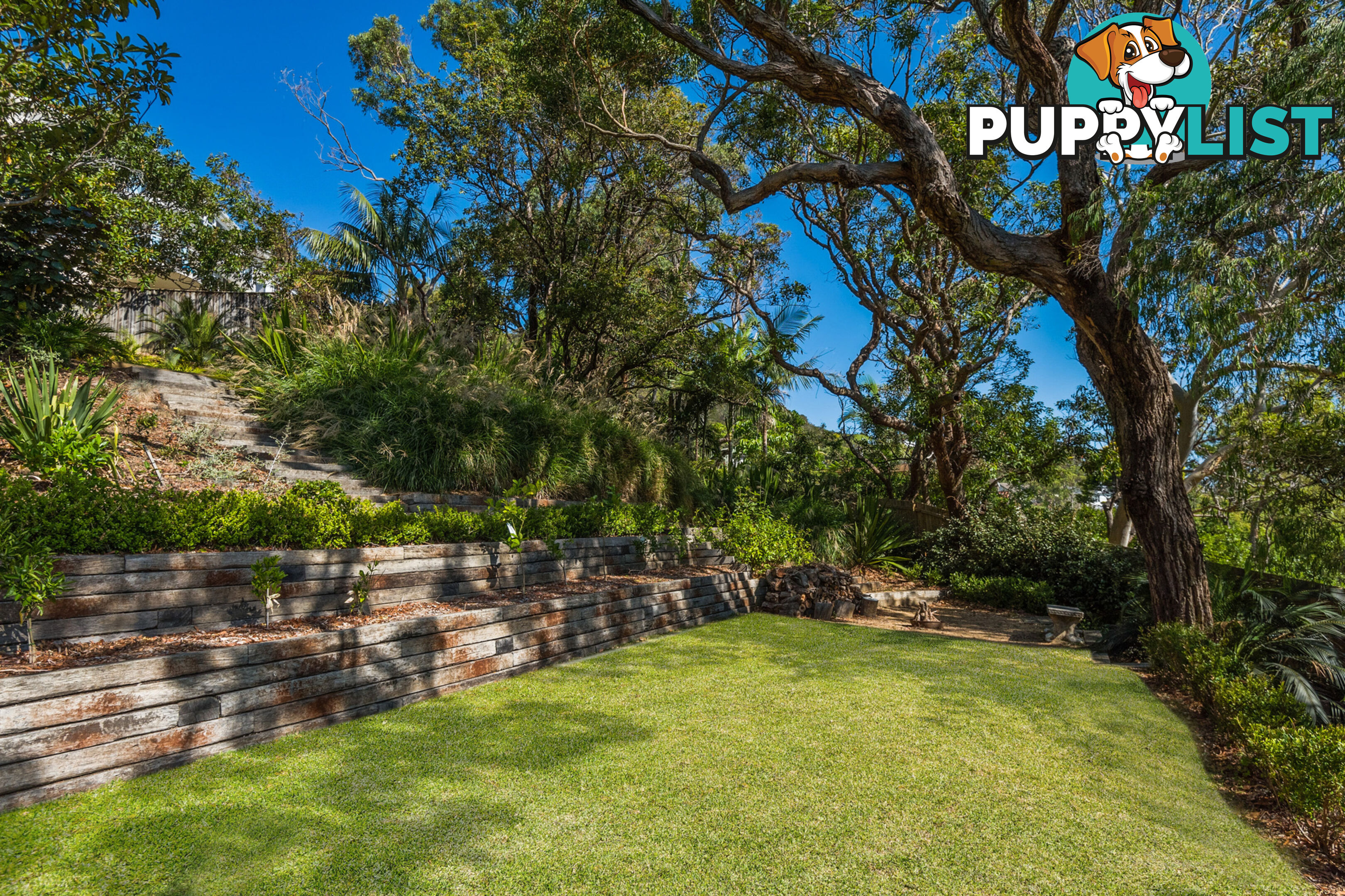 63 Whale Beach Road AVALON BEACH NSW 2107