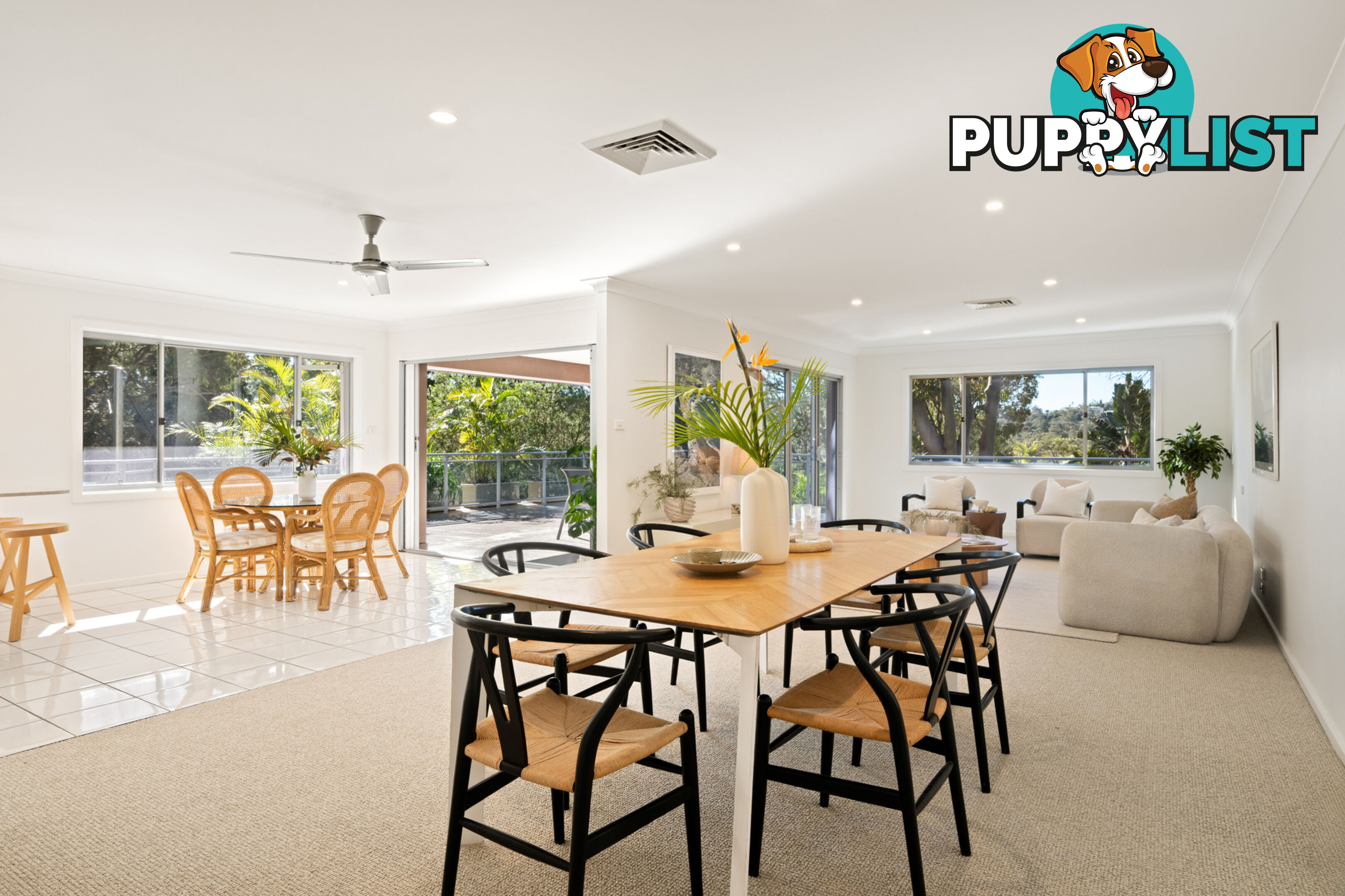 24 Patrick Street AVALON BEACH NSW 2107