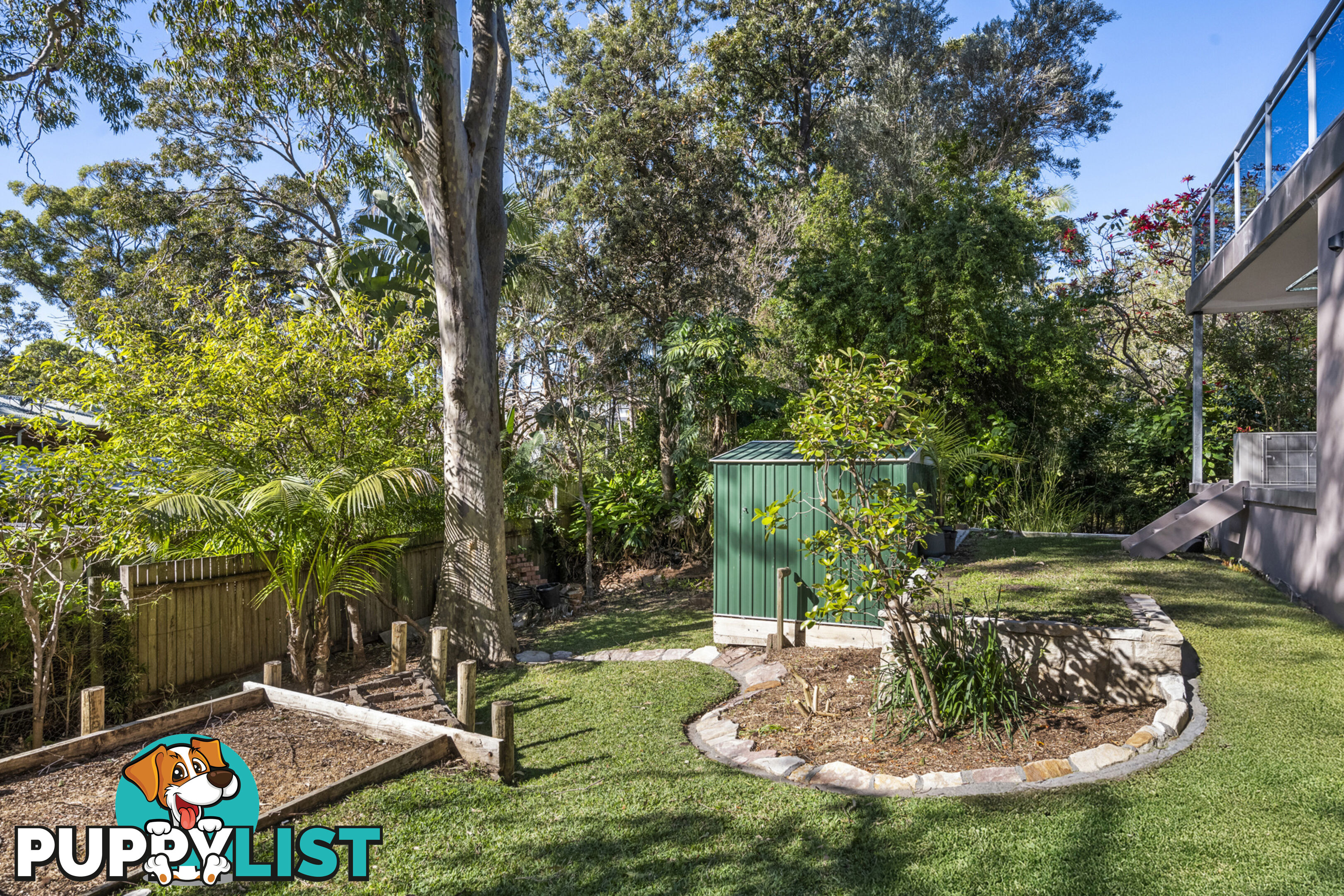 24 Patrick Street AVALON BEACH NSW 2107