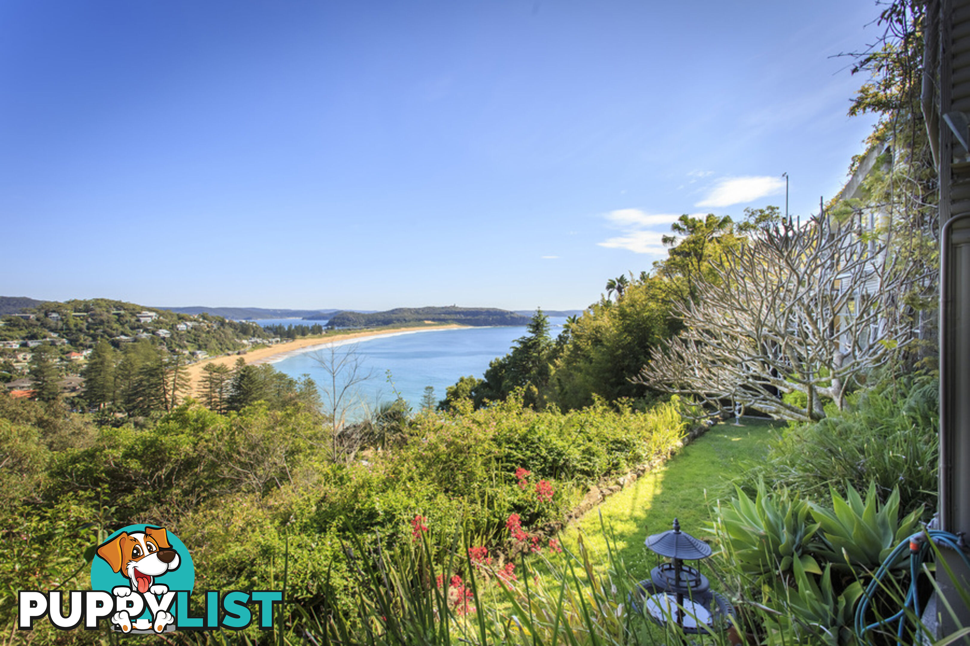 6 Mitchell Road PALM BEACH NSW 2108