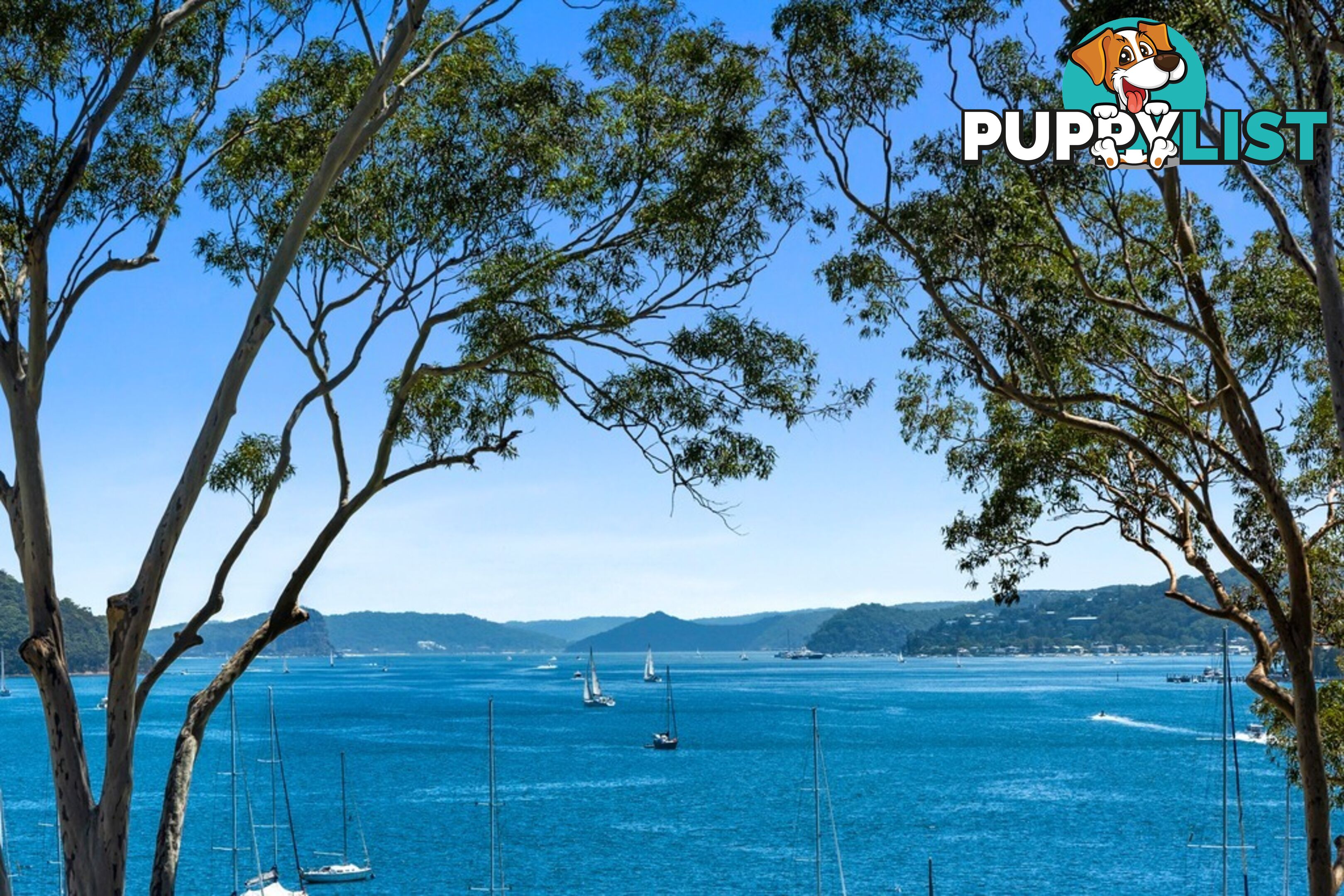 9/1754 Pittwater Road BAYVIEW NSW 2104