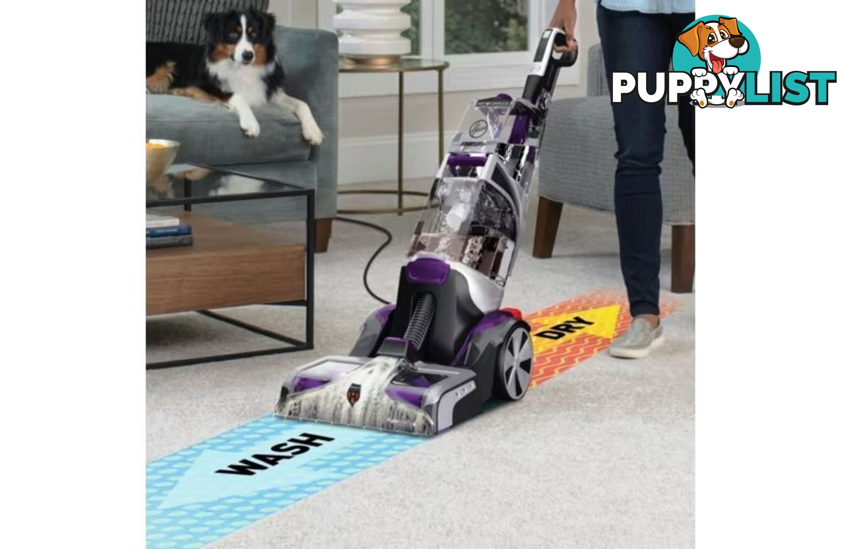 Hoover Smart Wash, Complete auto Pet Carpet Washer.