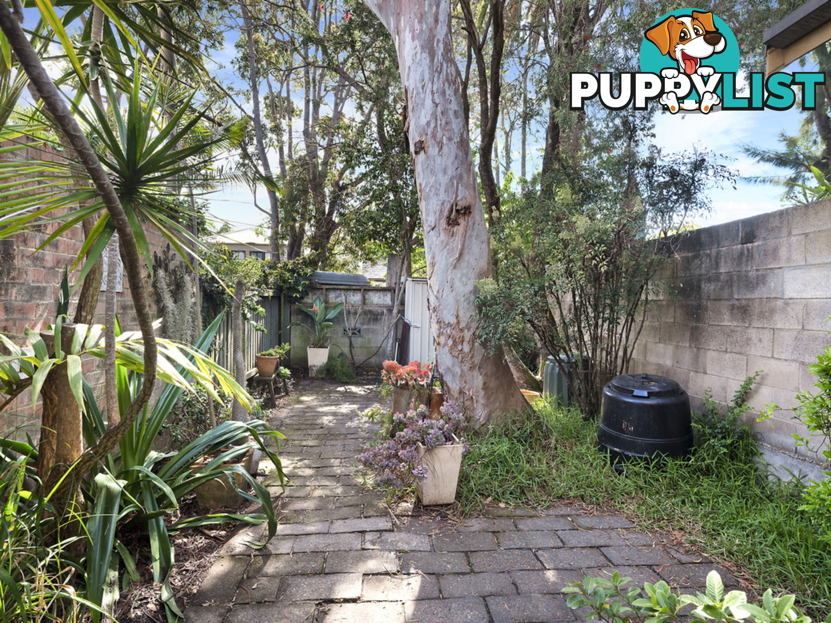 9 Reuss Street BIRCHGROVE NSW 2041