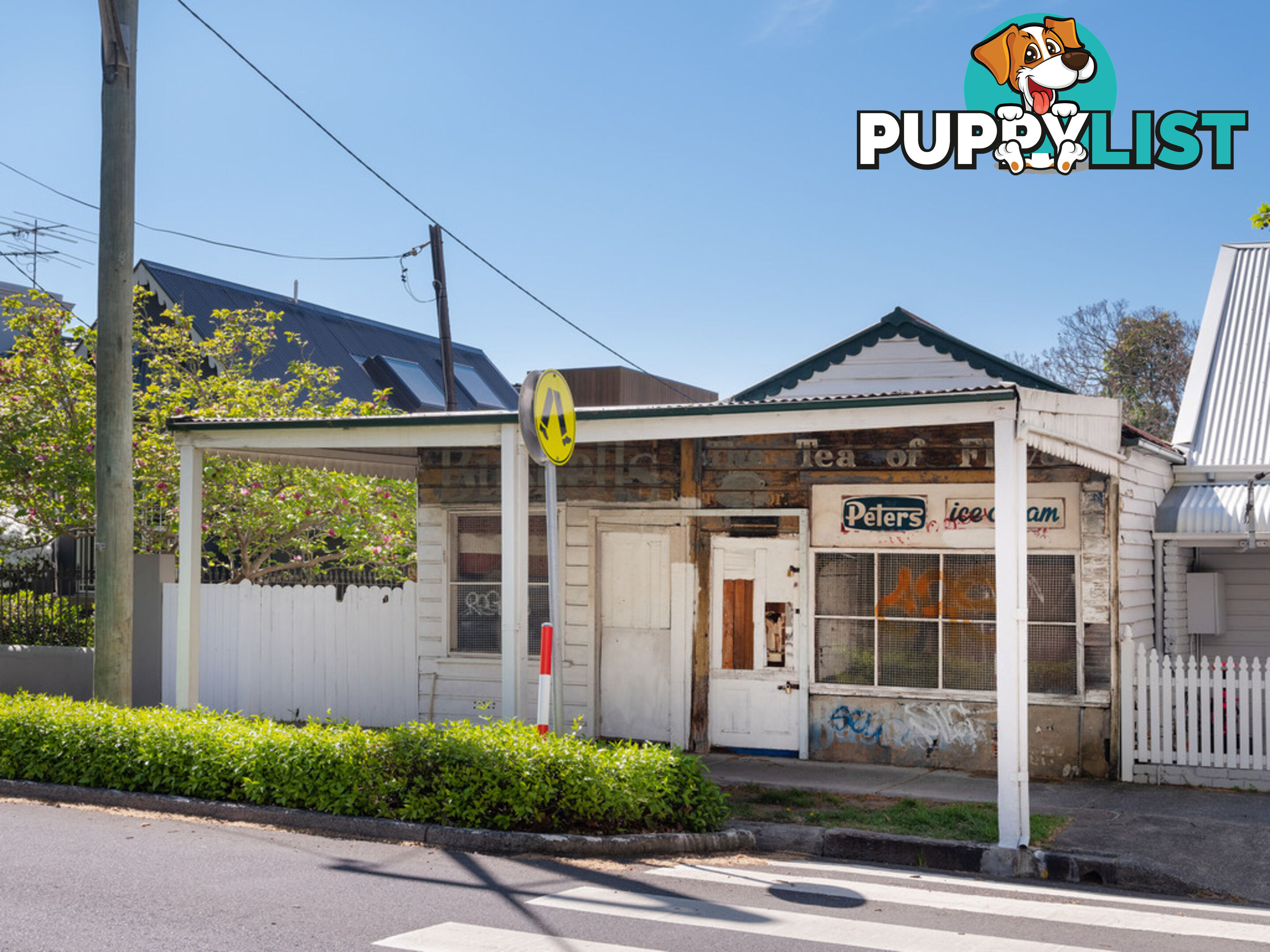 25-27 Trafalgar Street ANNANDALE NSW 2038