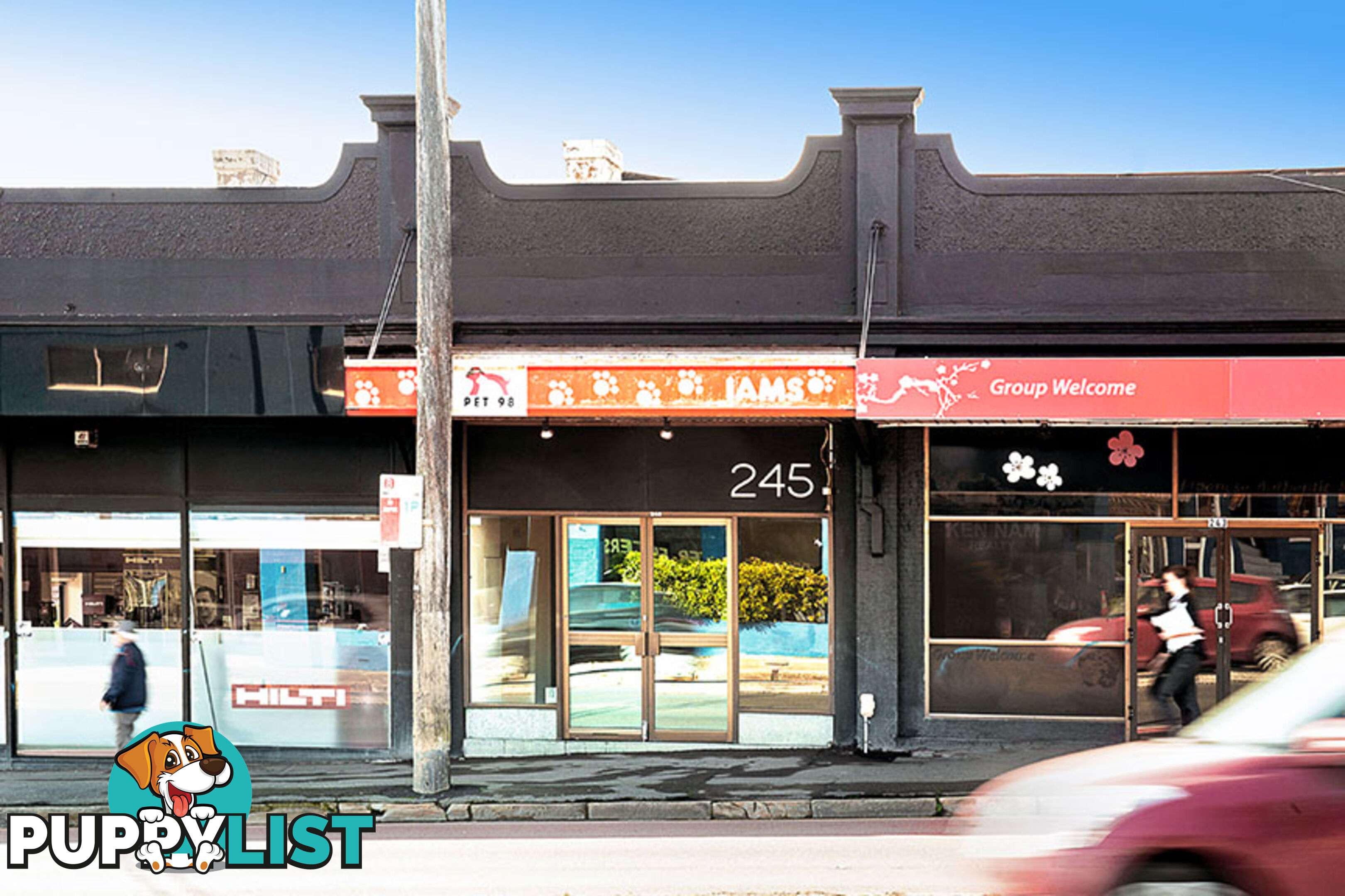 245 Parramatta Road ANNANDALE NSW 2038