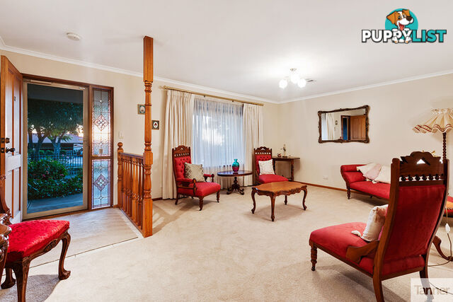 11 Brook Street TORRENS PARK SA 5062