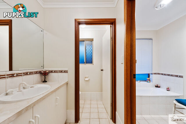 11 Brook Street TORRENS PARK SA 5062