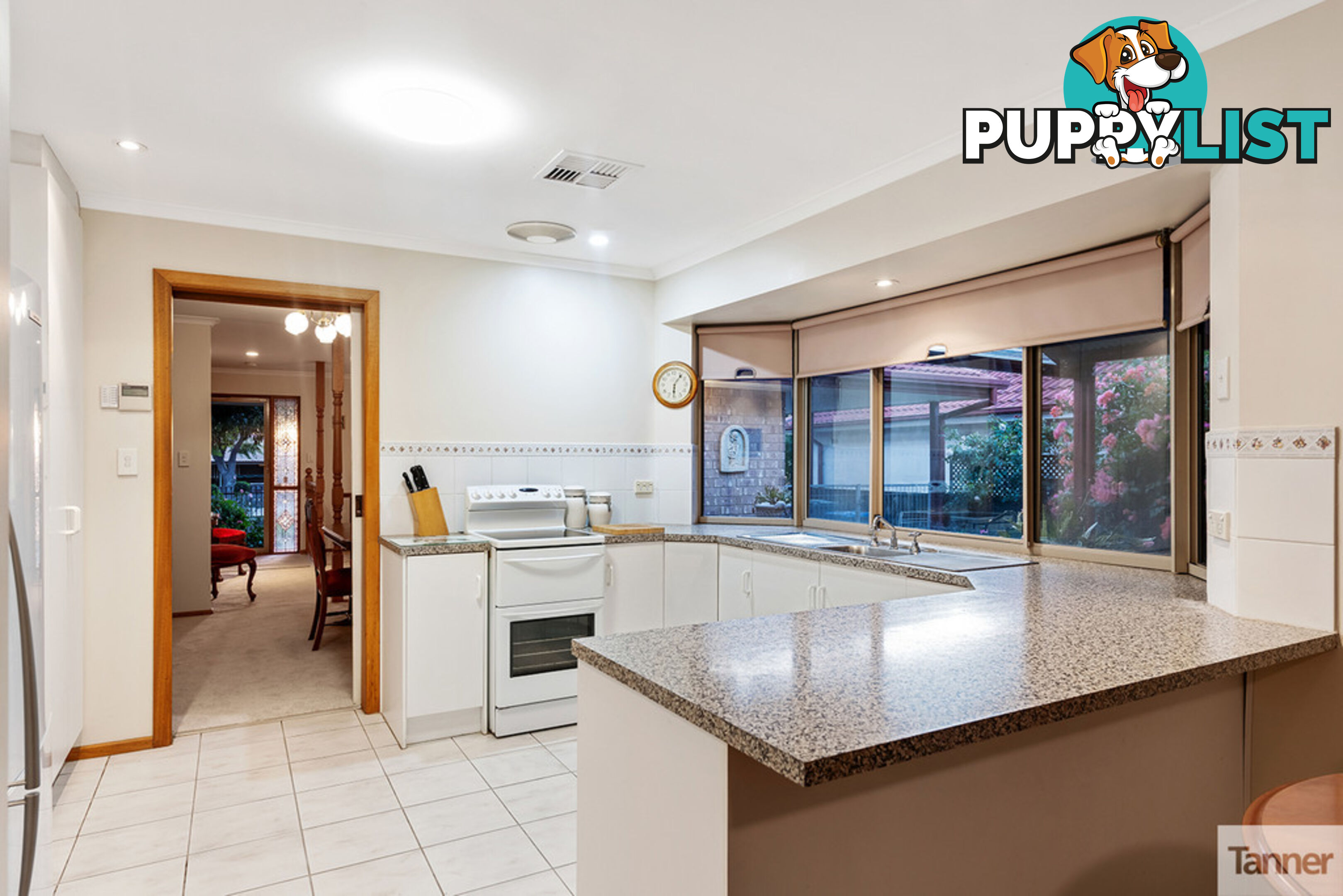 11 Brook Street TORRENS PARK SA 5062