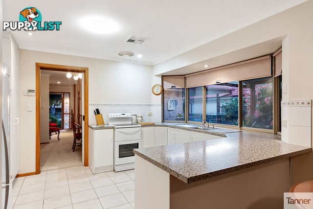 11 Brook Street TORRENS PARK SA 5062