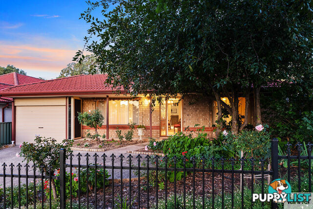 11 Brook Street TORRENS PARK SA 5062