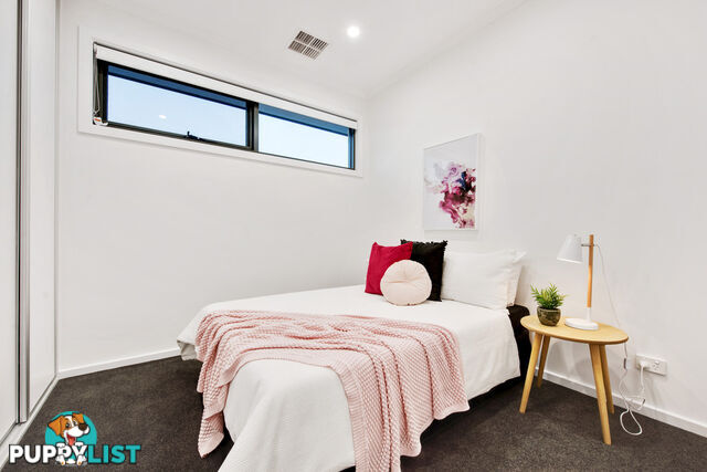 8 Hazel Street ASCOT PARK SA 5043