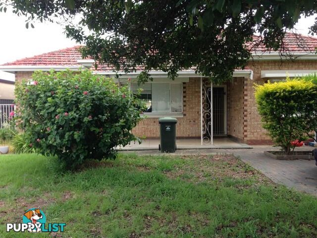 3 Brenton Avenue SOUTH PLYMPTON SA 5038