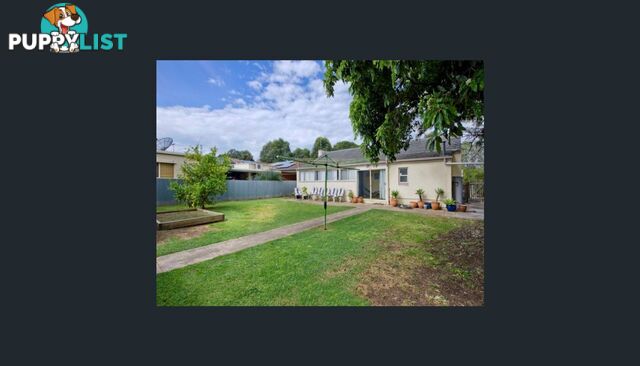 13 Neville Avenue CLARENCE GARDENS SA 5039