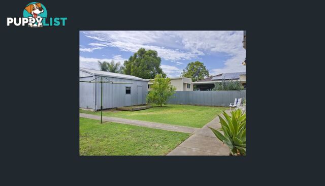 13 Neville Avenue CLARENCE GARDENS SA 5039