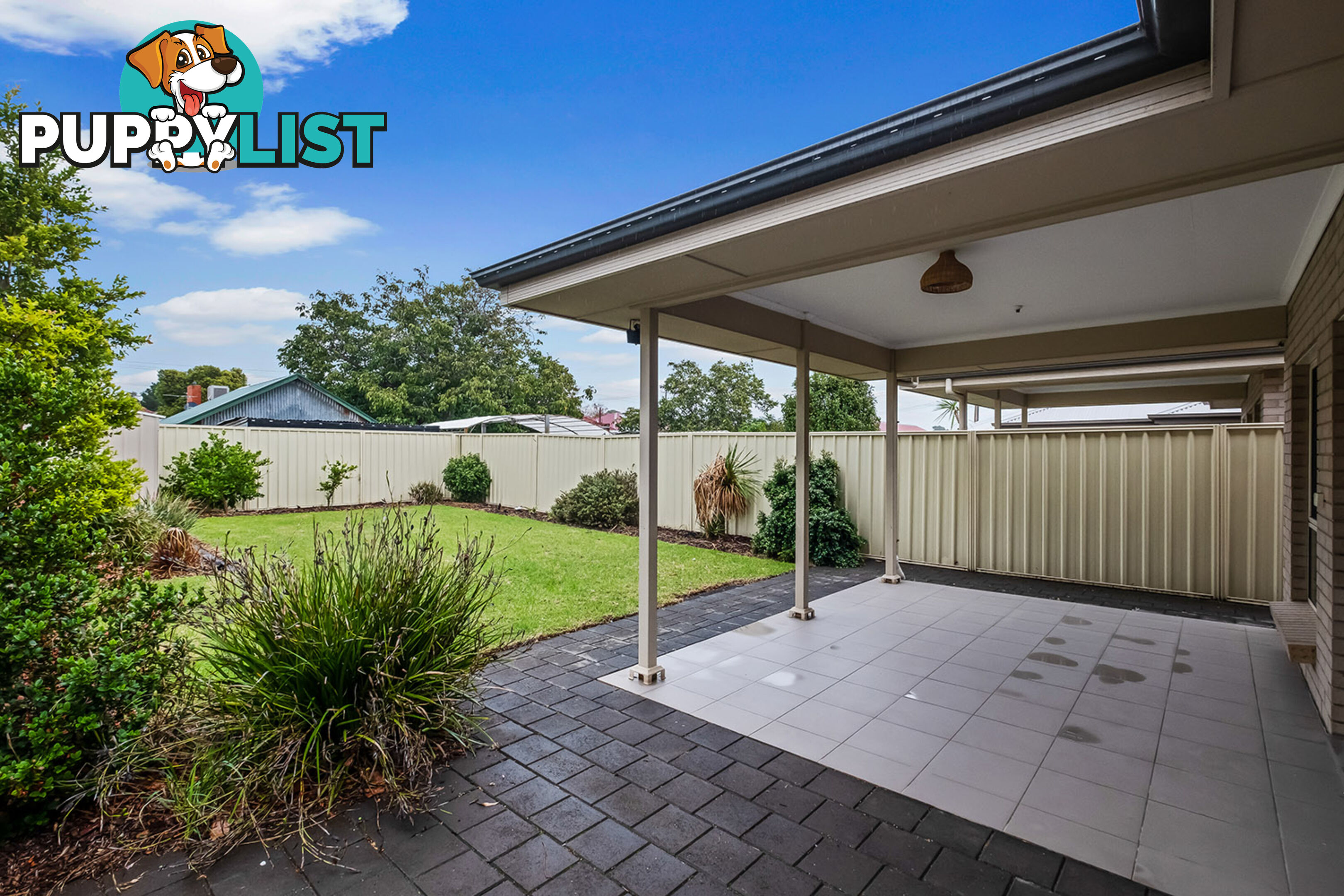 46 Norrie Ave CLOVELLY PARK SA 5042