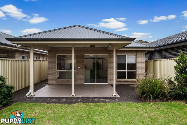 46 Norrie Ave CLOVELLY PARK SA 5042