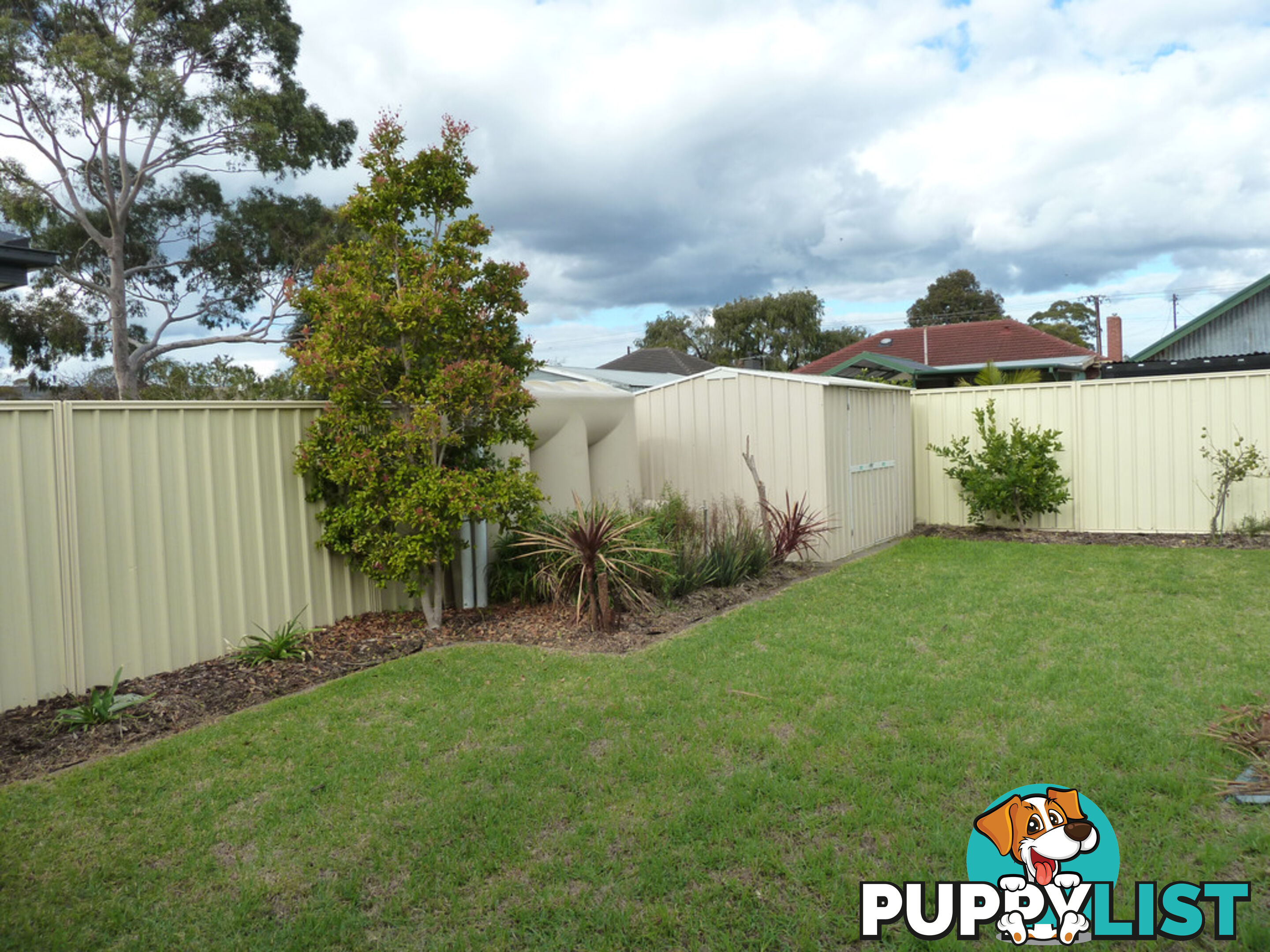 46 Norrie Ave CLOVELLY PARK SA 5042