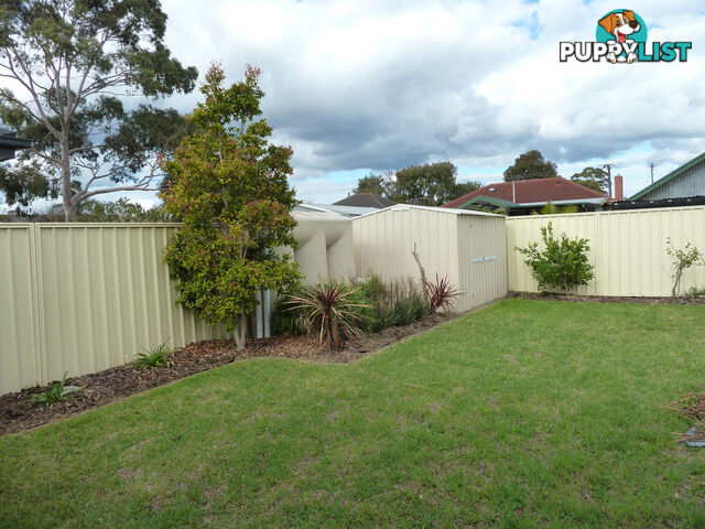 46 Norrie Ave CLOVELLY PARK SA 5042