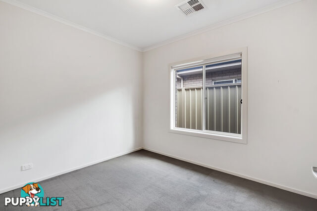 46 Norrie Ave CLOVELLY PARK SA 5042