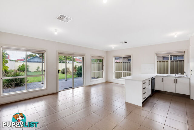 46 Norrie Ave CLOVELLY PARK SA 5042