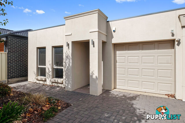 46 Norrie Ave CLOVELLY PARK SA 5042