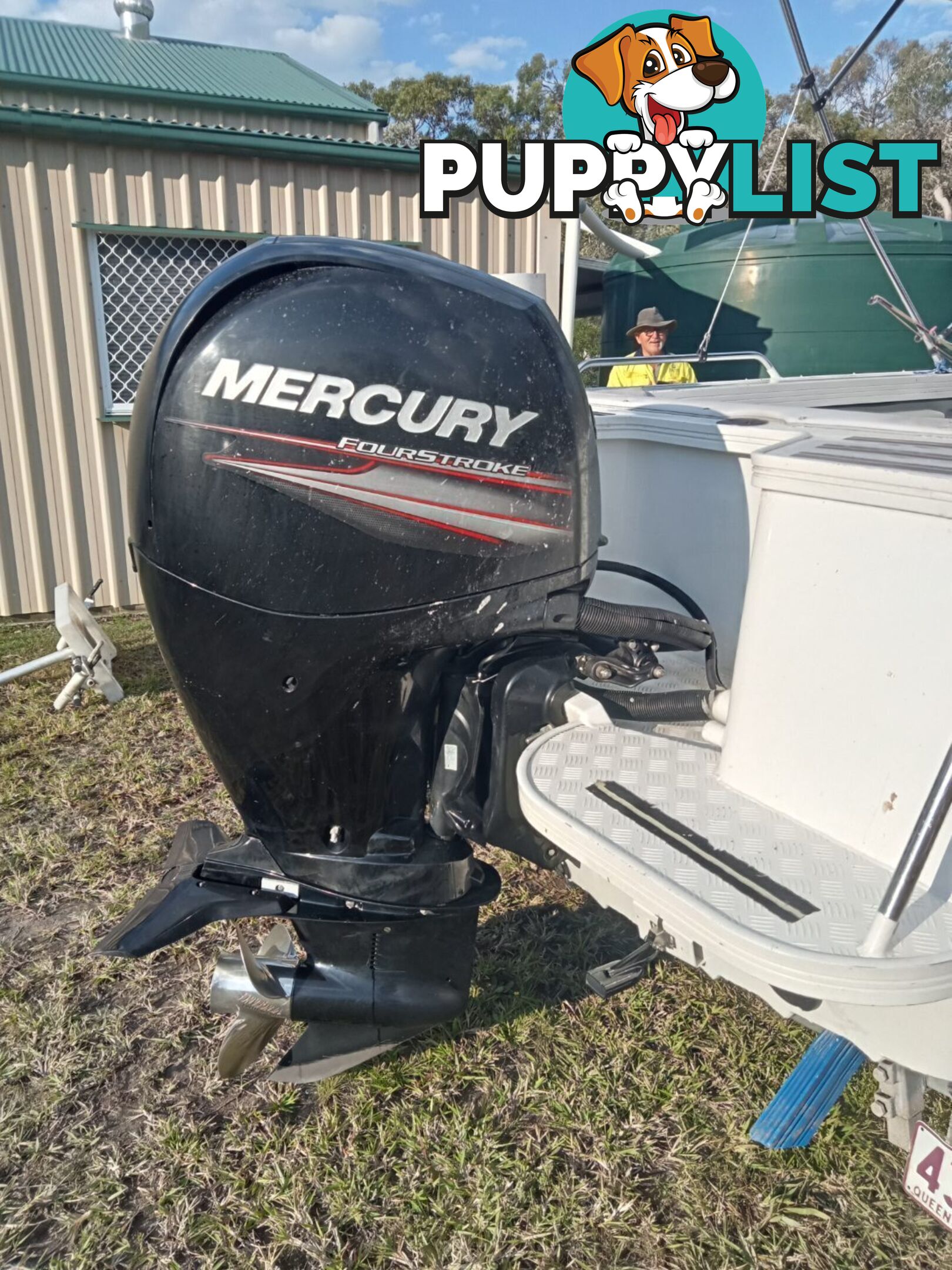 Quintrex 530 Lazeabout