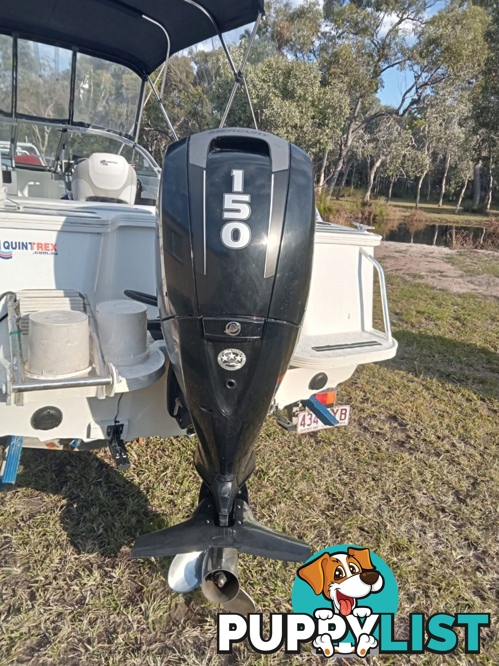 Quintrex 530 Lazeabout