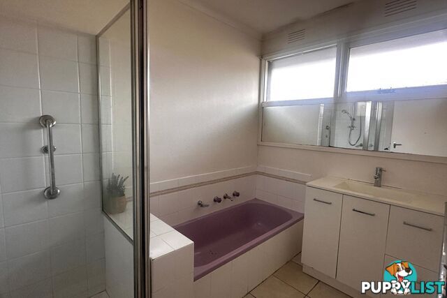 3 Harry Street CRANBOURNE VIC 3977