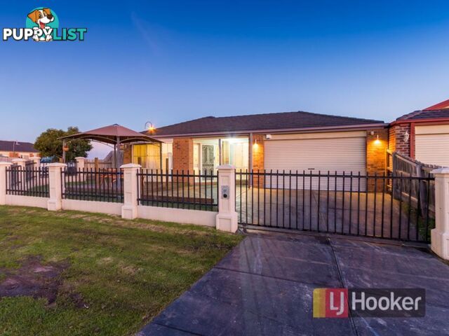 17 Terri-Ester Drive BERWICK VIC 3806