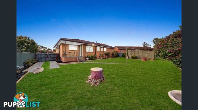 9 Cottage Court HAMPTON PARK VIC 3976