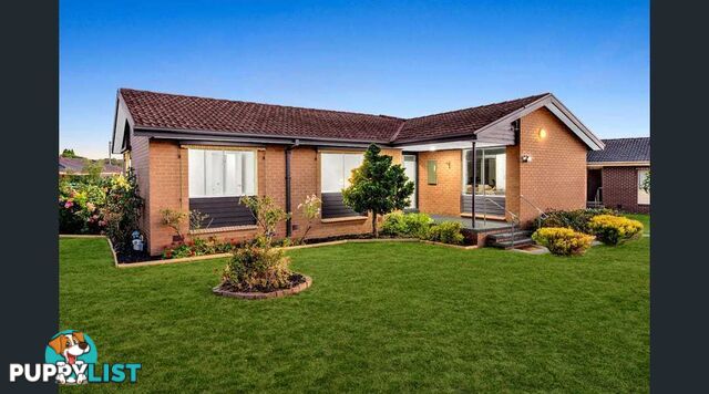 9 Cottage Court HAMPTON PARK VIC 3976