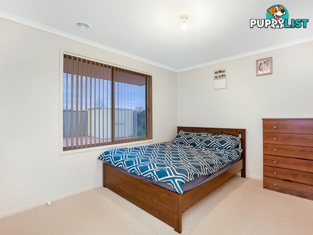 160 Rosebank Drive CRANBOURNE NORTH VIC 3977