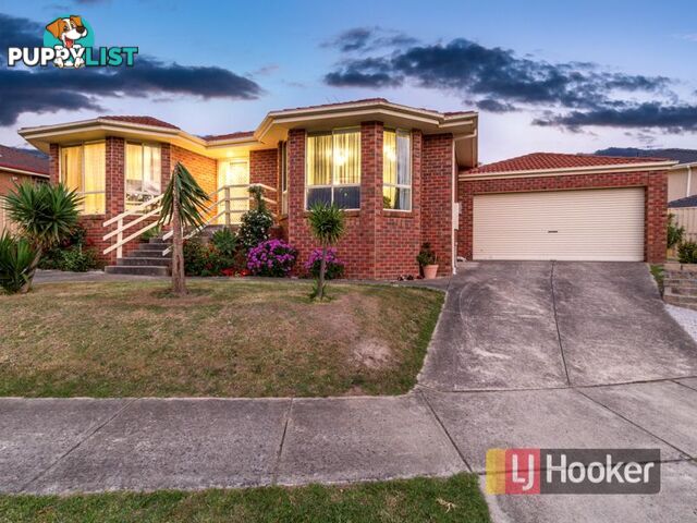 1 Wittenberg Court NARRE WARREN VIC 3805