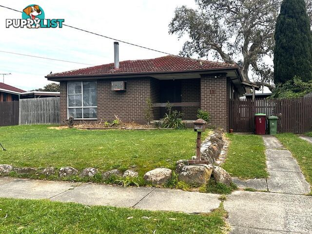 11 Silvan Grove HAMPTON PARK VIC 3976