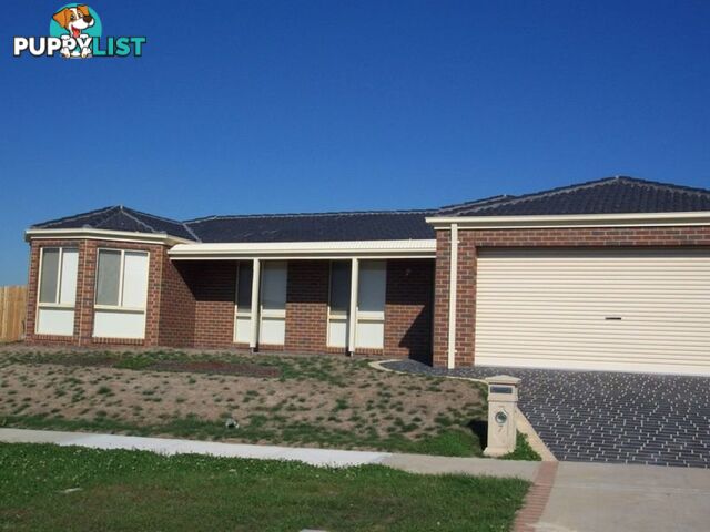 7 Ashmore Avenue NARRE WARREN SOUTH VIC 3805