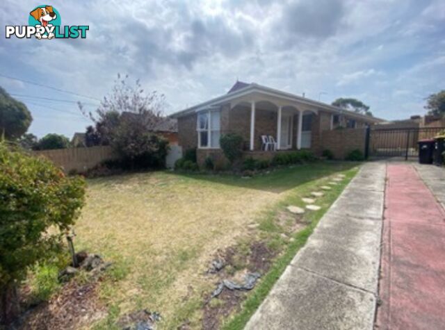 3 Frognal Drive NOBLE PARK NORTH VIC 3174