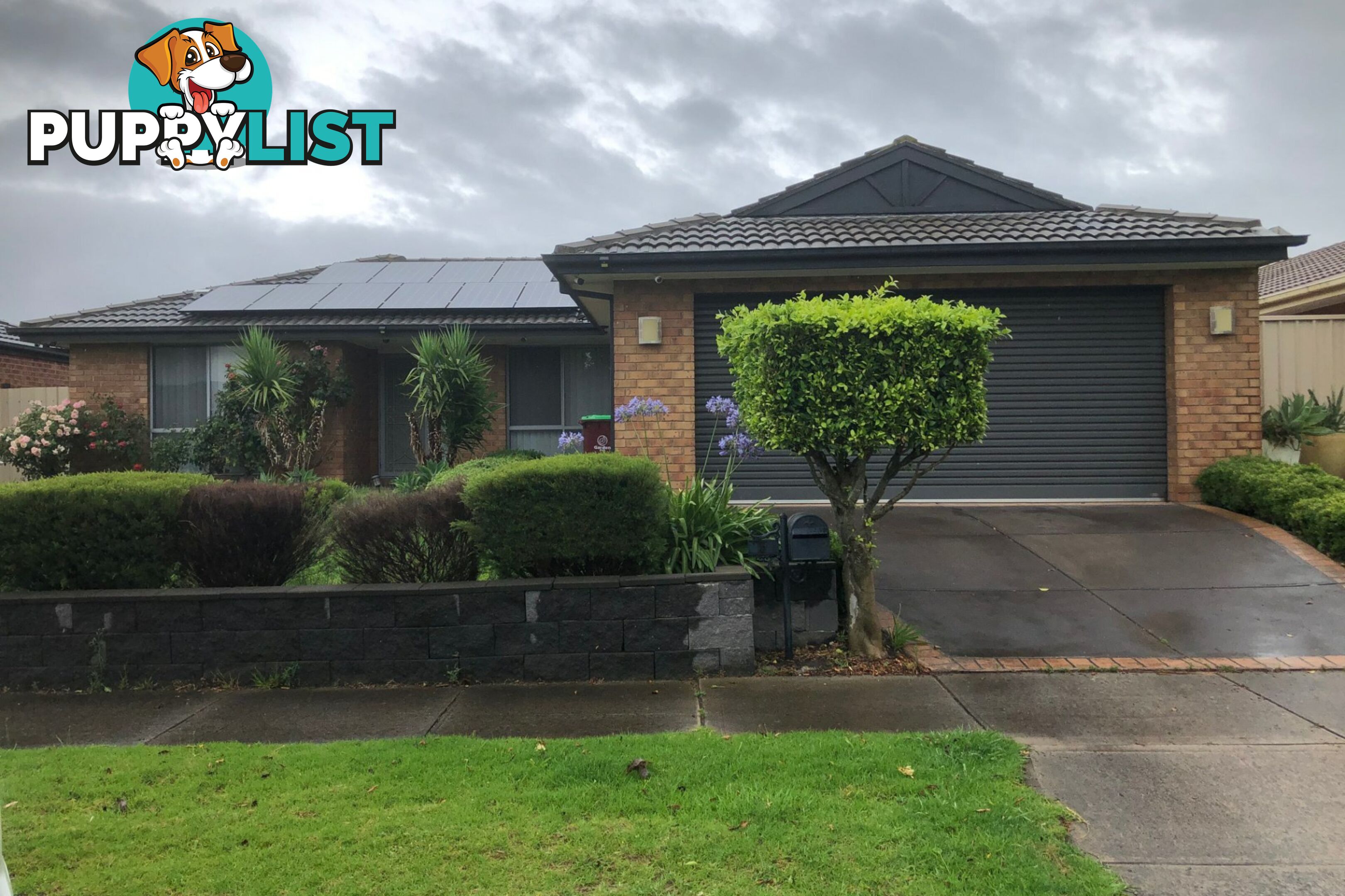 5 Armoy Close CRANBOURNE EAST VIC 3977