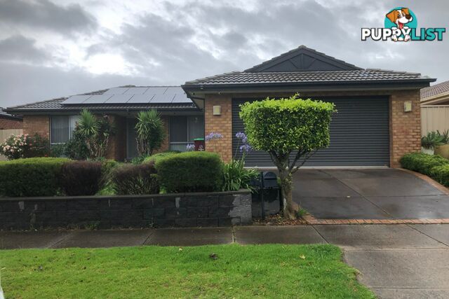 5 Armoy Close CRANBOURNE EAST VIC 3977