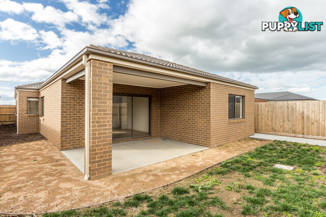 13 Detroit Avenue CRANBOURNE EAST VIC 3977