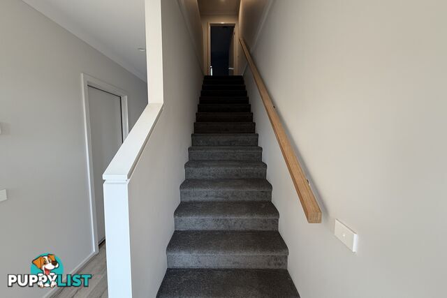 8 Rhumerie Close CLYDE NORTH VIC 3978