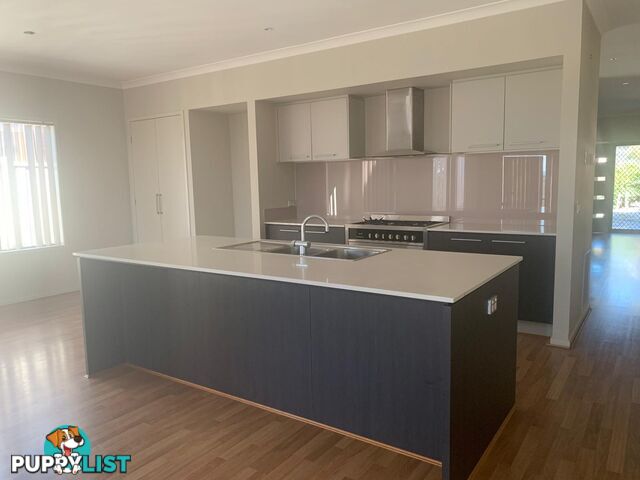 41 Nature Circuit CRANBOURNE NORTH VIC 3977